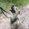 Ruhig treu verschmust lieb = NONA ♥