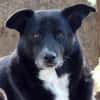 Berry hat eine neue Chance verdient