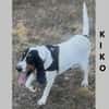 Kiko
