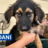 DANI (Maria)