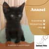 AZAZEL