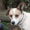 LUKULO sucht Familie