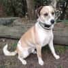 LUKULO sucht Familie