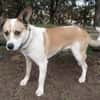 LUKULO sucht Familie