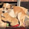 LUKULO sucht Familie