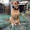 Clementine - Blondine sucht Aktive