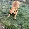 Clementine - Blondine sucht Aktive