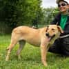 Clementine - Blondine sucht Aktive