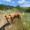 DARYL, lustig und verspielt