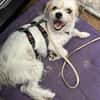 Super-Lotti ist genial