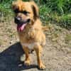 CORA sucht ihre kinderlose Oase