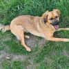 CORA sucht ihre kinderlose Oase