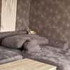 Cappy - Schlappohr sucht Dich