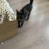 Daisy, mit mir kommt Freude ins Haus