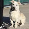 Charly sucht neues Power-Zuhause