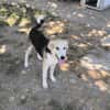 Sonnenschein Lilly