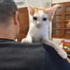 Ori aus dem Tierschutz