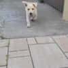 Lumi