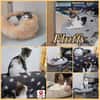 Lieber Paco sucht Zuhause mit Fluffy
