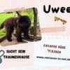 Uwee - Zuhause gesucht !