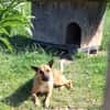 Creo sucht sein Traumzuhause