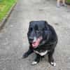 Jacky der Schmuser
