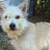 Samy sucht liebevolle Familie