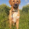 HSH-Mix-Lady♥Suvi♥63911 Klingenberg/Main