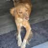 MADITA - Herz aus GOLD, lieb,verschmust