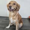 MADITA - Herz aus GOLD, lieb,verschmust