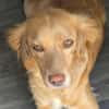 MADITA - Herz aus GOLD, lieb,verschmust