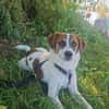 BARNEY - Kinder und Katzen sind toll!