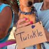 TWINKLE (Maria)