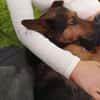 Tulma1 sucht ein Zuhause/Pflegestelle