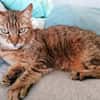 Dringender Notfall: Crunchy und Cimba