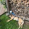 🆘 wundervolle Chai🆘 Notfall