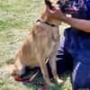 Liebevolle Seele RUBY in Bayern ‼‼🆘🆘