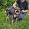 Leo sucht seine Familie