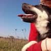 Leo sucht seine Familie