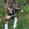 STELLA - fitte und sportliche Rentnerin!