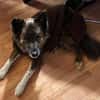 STELLA - fitte und sportliche Rentnerin!