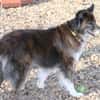 STELLA - fitte und sportliche Rentnerin!