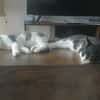 LUNE et JERRY