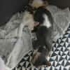 LUNE et JERRY