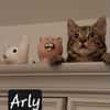 ARLY
