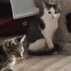 ***MADDIE und THEA im Doppelpack!