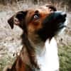 Athos sucht liebe Menschen