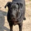 Rex sucht ein kuscheliges Plätzchen