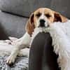Bonny, verschmust, neugierig, offen