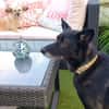 SUZANA - aktive, tolle Lady